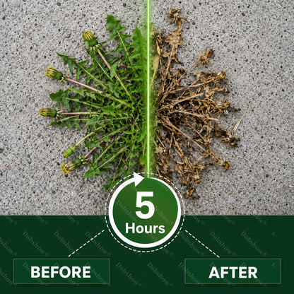 Healrize® 5-Hour Max Power Dual-Action Herbicide