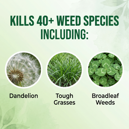 🏆𝙊𝙛𝙛𝙞𝙘𝙞𝙖𝙡 𝙎𝙩𝙤𝙧𝙚 | Healrize® 2-in-1 Max Strength Herbicide: Fast Acting Results on Glyphosate-Resistant Weeds